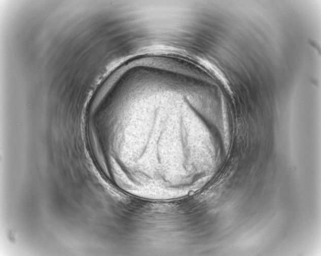 X0000093421429200711021006