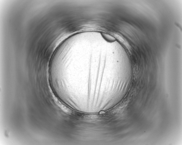 X0000093421431200711021006