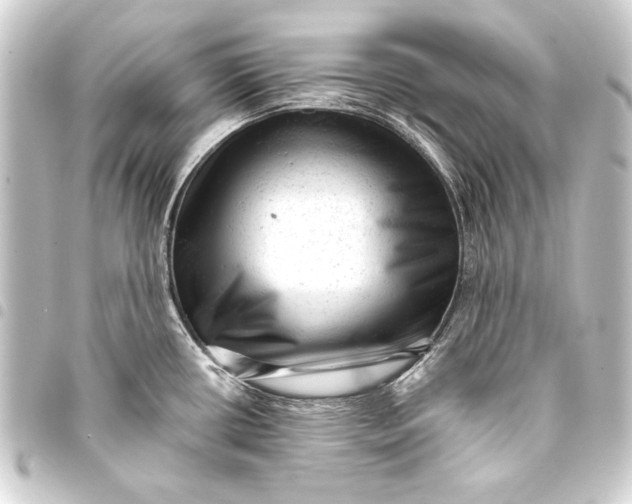 X0000093421434200711021006