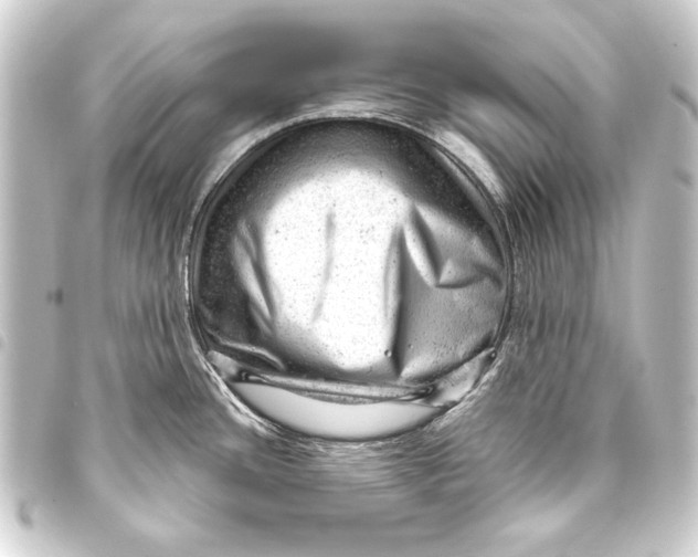 X0000093421436200711021006