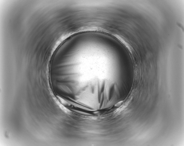 X0000093421438200711021006