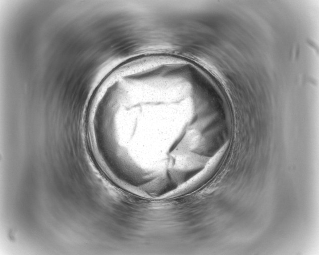 X0000093421440200711021006