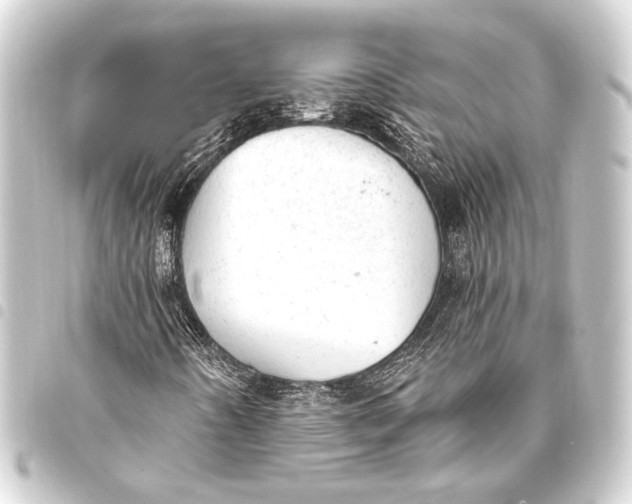 X0000093421442200711021005