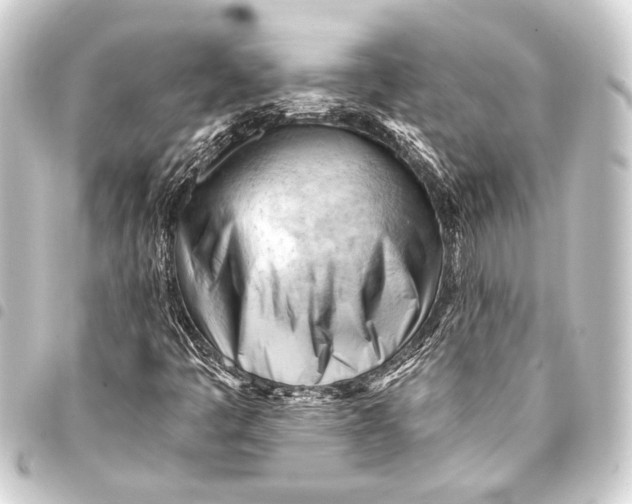 X0000093421445200711021005