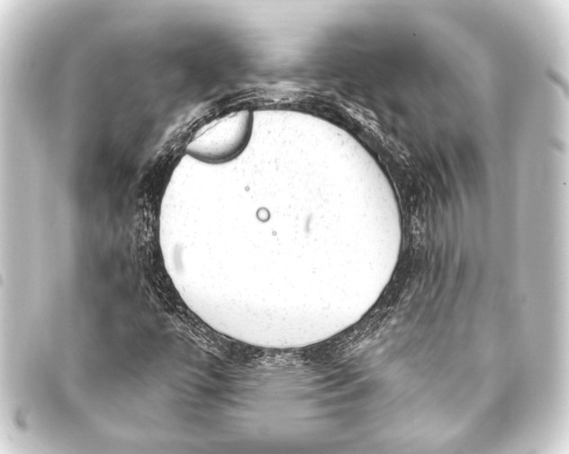 X0000093421447200711021005