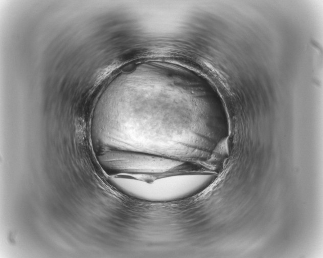 X0000093421449200711021005