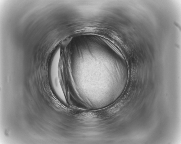 X0000093421450200711021005