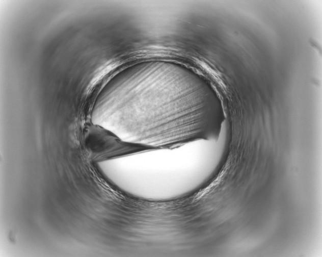 X0000093421453200711021005