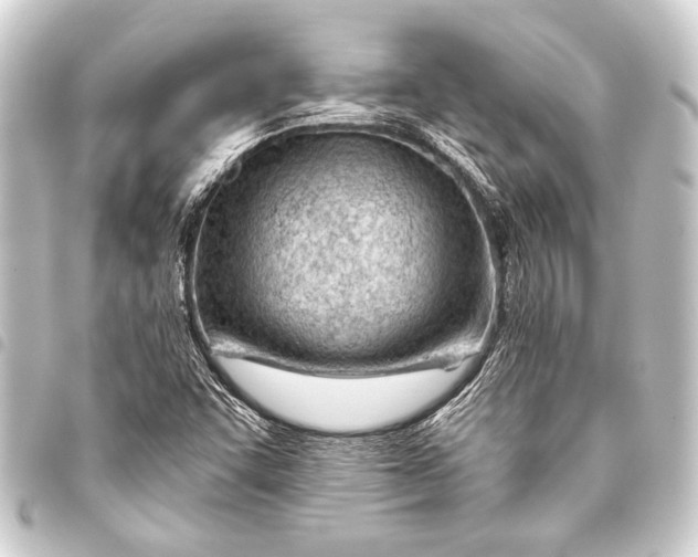 X0000093421455200711021005