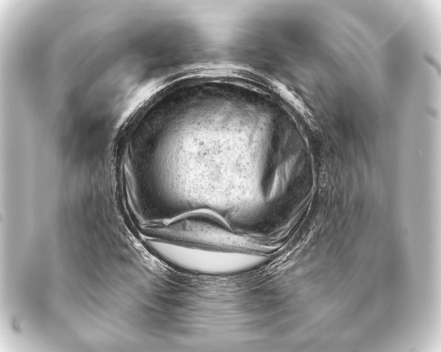 X0000093421456200711021005