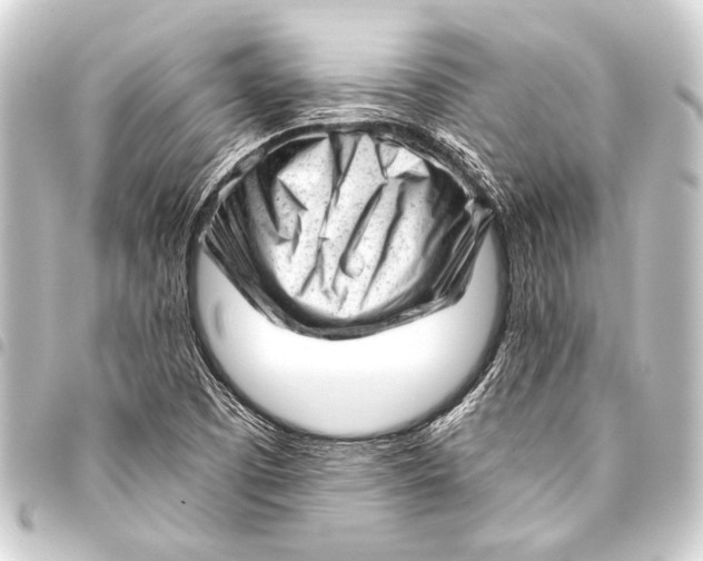 X0000093421457200711021005