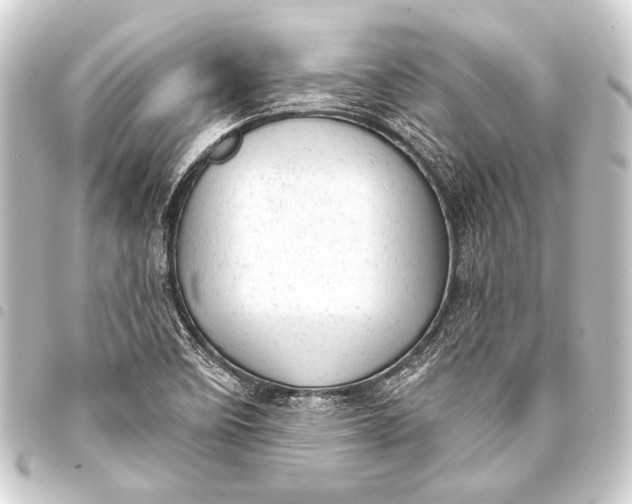 X0000093421458200711021005