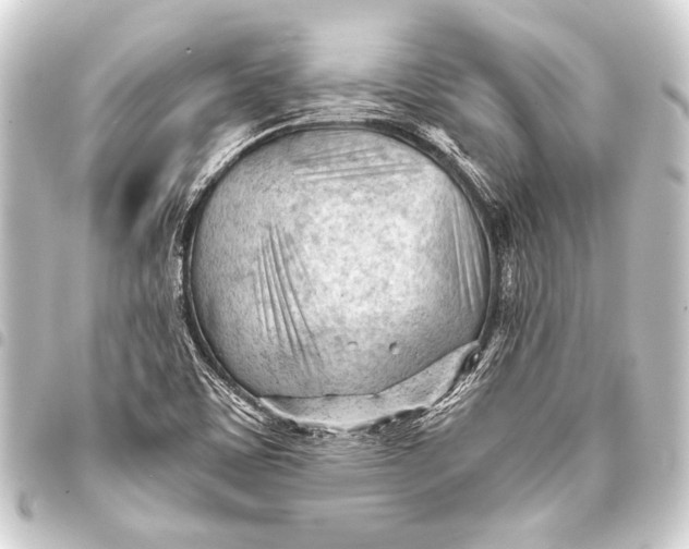 X0000093421459200711021005