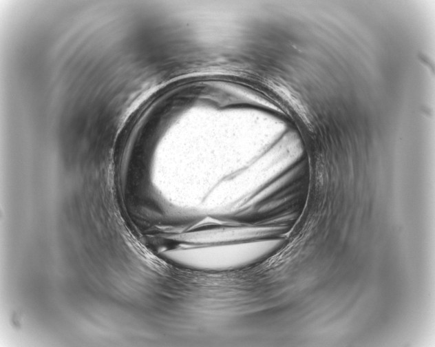 X0000093421460200711021005