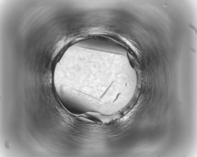 X0000093421461200711021005