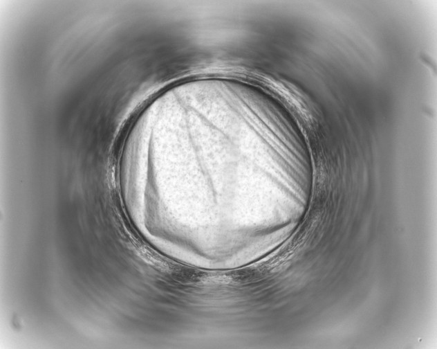 X0000093421462200711021005