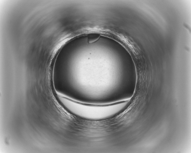 X0000093421463200711021005