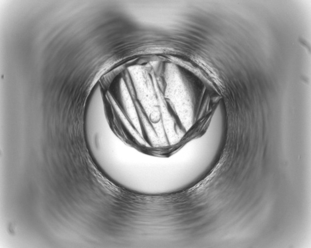 X0000093421465200711021005