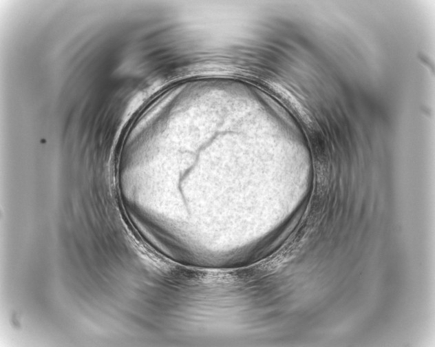 X0000093421466200711021005