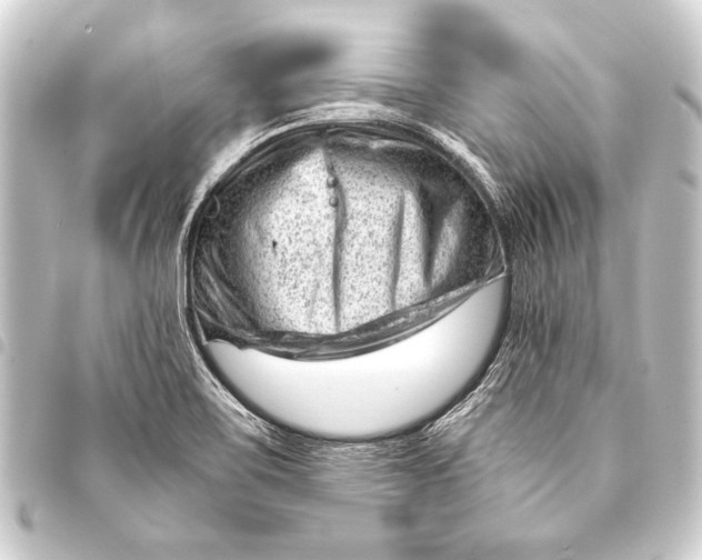 X0000093421467200711021005