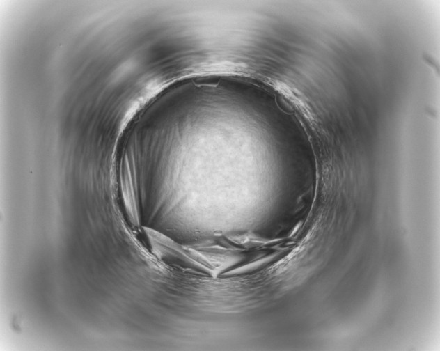 X0000093421469200711021005