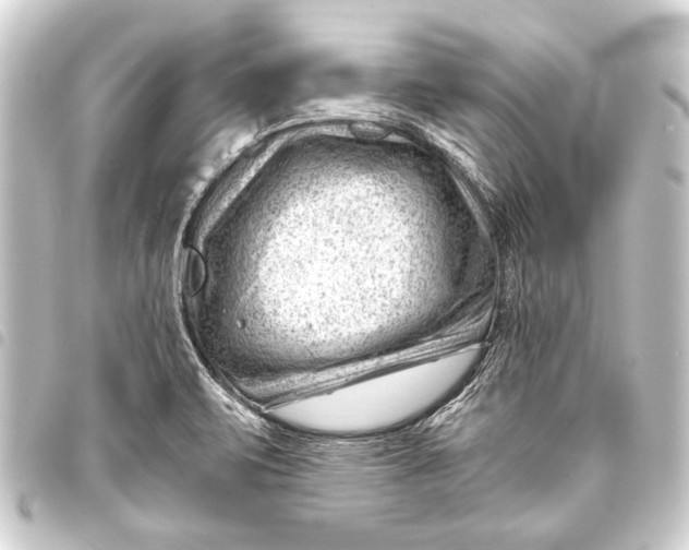 X0000093421471200711021005