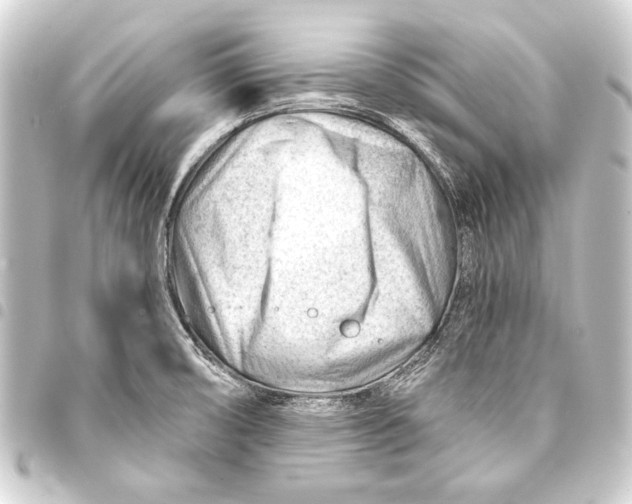 X0000093421474200711021005