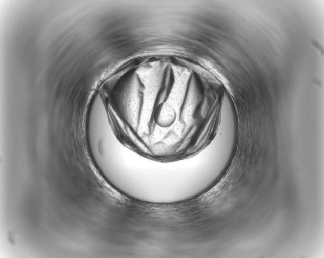 X0000093421477200711021005