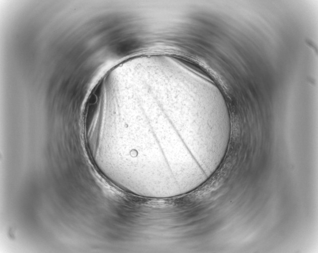 X0000093421478200711021005