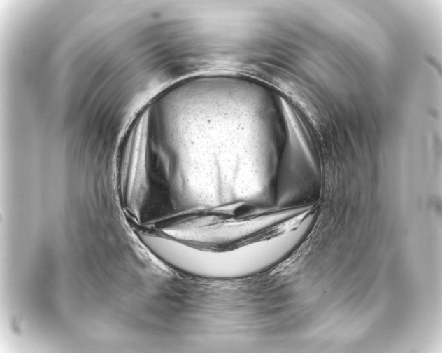 X0000093421480200711021005