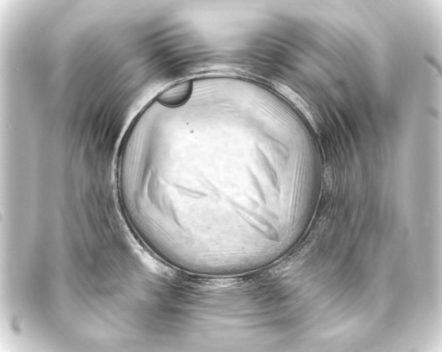 X0000093421482200711021005