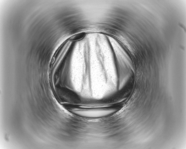 X0000093421484200711021005