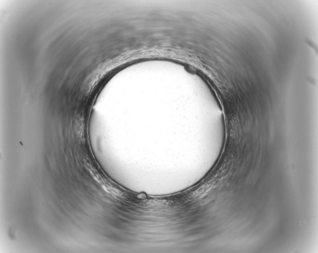 X0000093421499200711021004