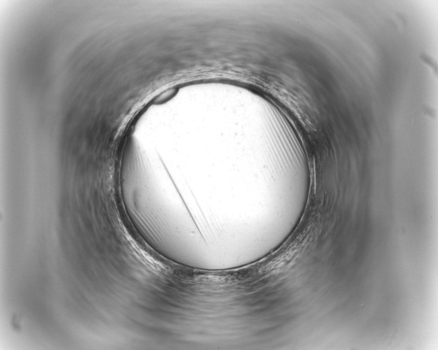 X0000093421500200711021004