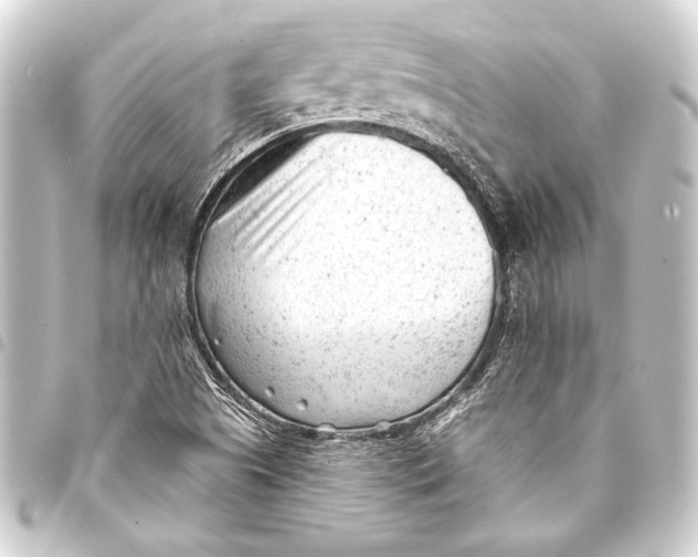 X0000093421505200711021005