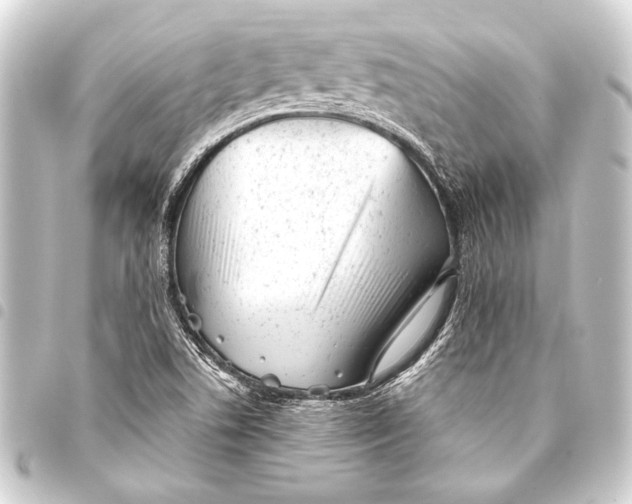 X0000093421506200711021005