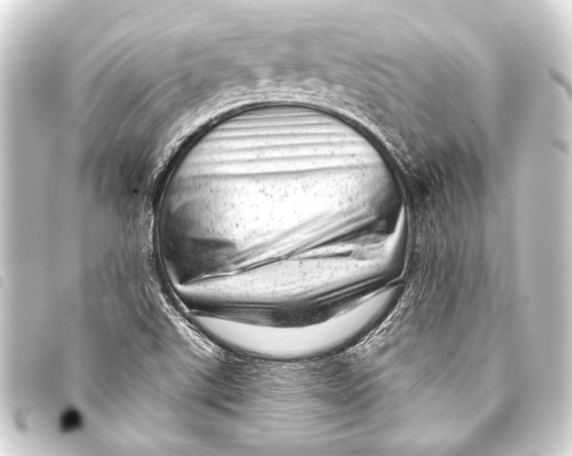 X0000093421507200711021005