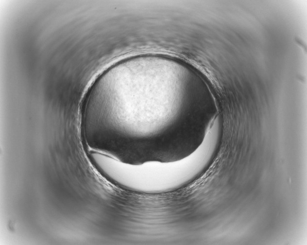 X0000093421508200711021005