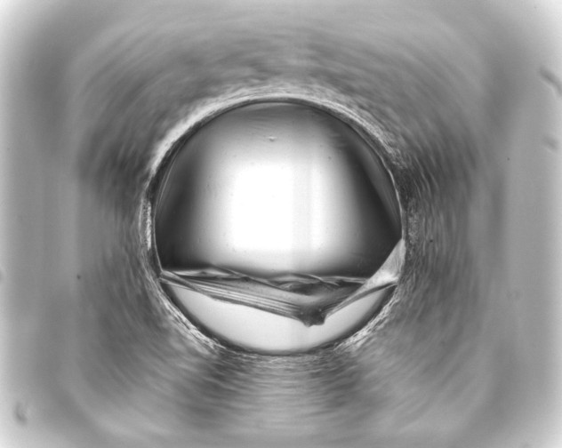 X0000093421510200711021005