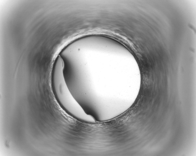 X0000093421512200711021005