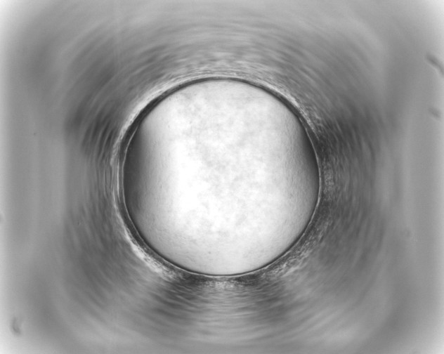 X0000093421515200711021005