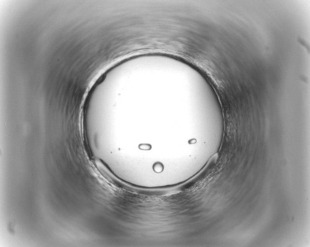 X0000093421516200711021005