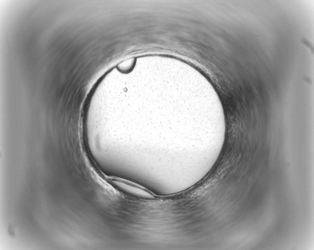 X0000093421518200711021005