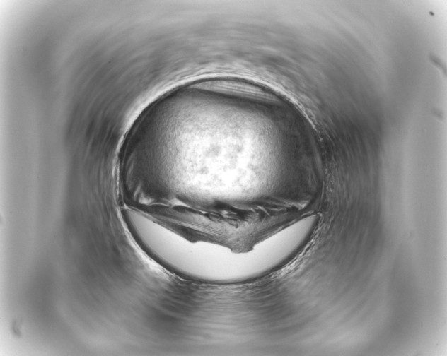 X0000093421519200711021005