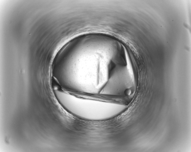 X0000093421520200711021005