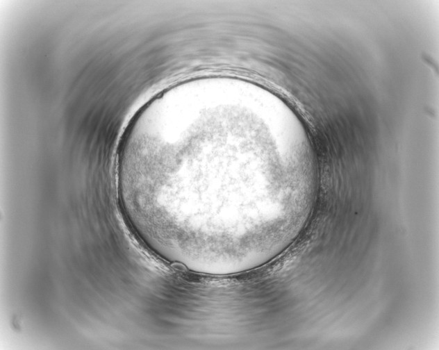 X0000093421522200711021005