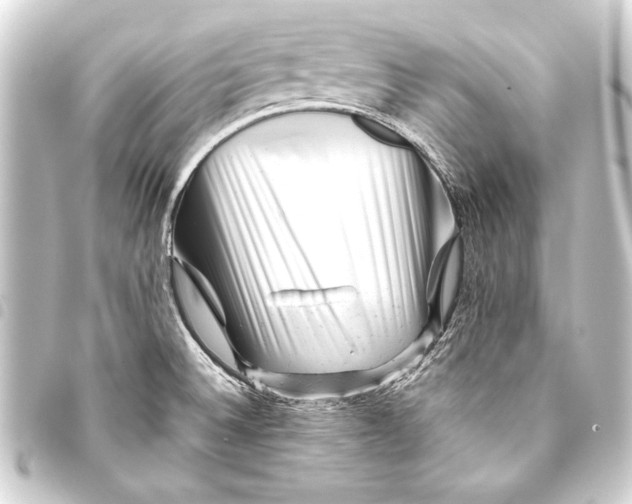 X0000093421524200711021005