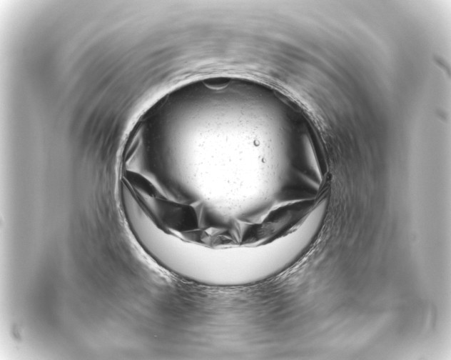 X0000093421528200711021005