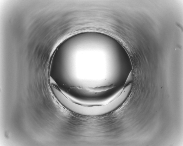 X0000093421530200711021005