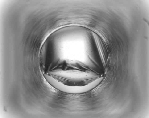 X0000093421532200711021005